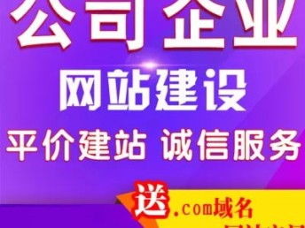 南三环专业网站建设与推广服务 图西罗园网站公司本月限时赠送活动