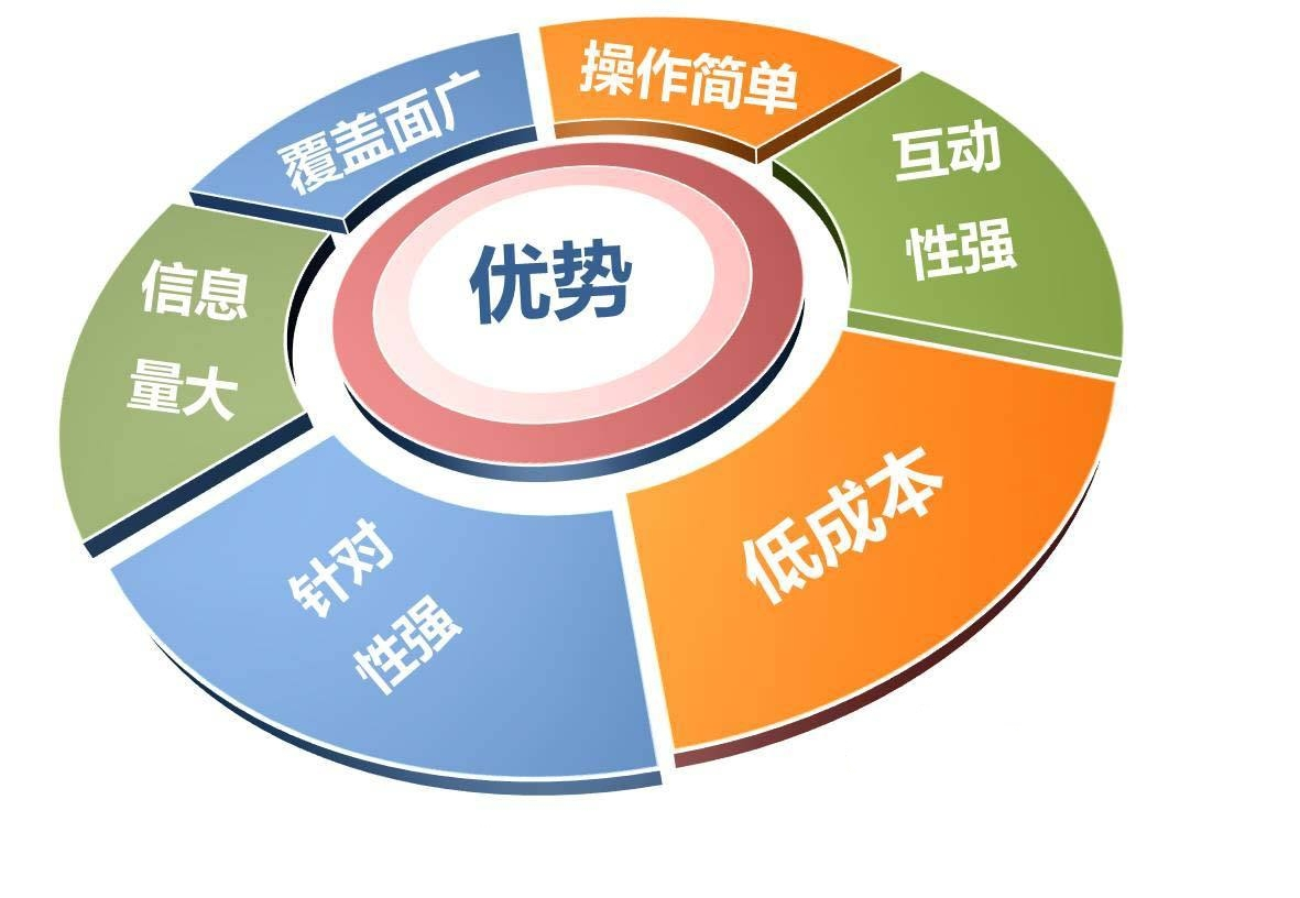 100种免费的网络推广方法 实战指南
